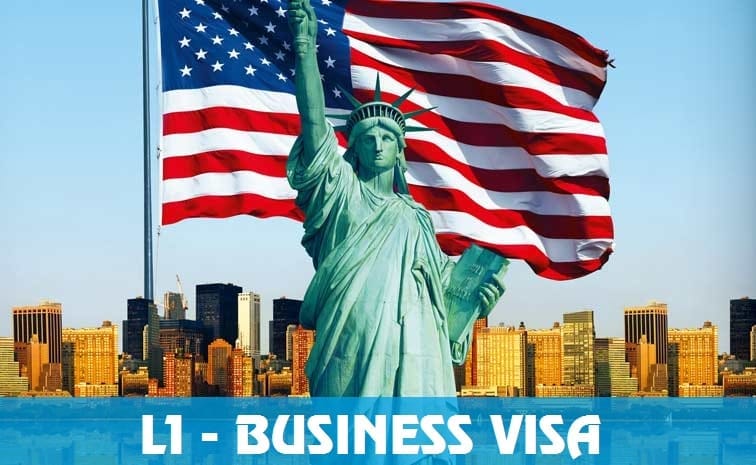 visa L1