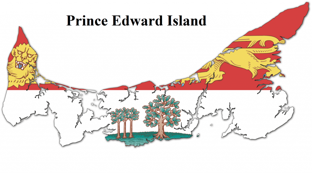 chương trình doanh nhân PEI