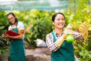 Mùa xuân trên đảo hoàng tử Canada