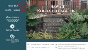 Dự án EB-5 Hawaii Koloa Village vùng nông thôn: Ưu tiên xét duyệt thẻ xanh