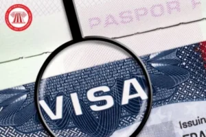 Nếu Anh Chị có nguồn vốn thấp thì nên lựa chọn visa ĐT4