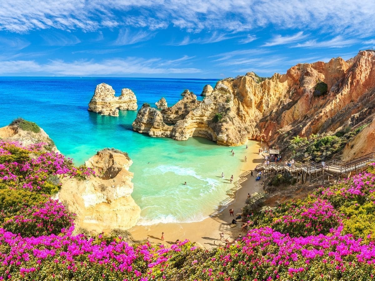 thehaphazardtraveler.com...
