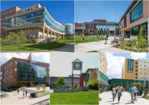 có nên định cư Mỹ