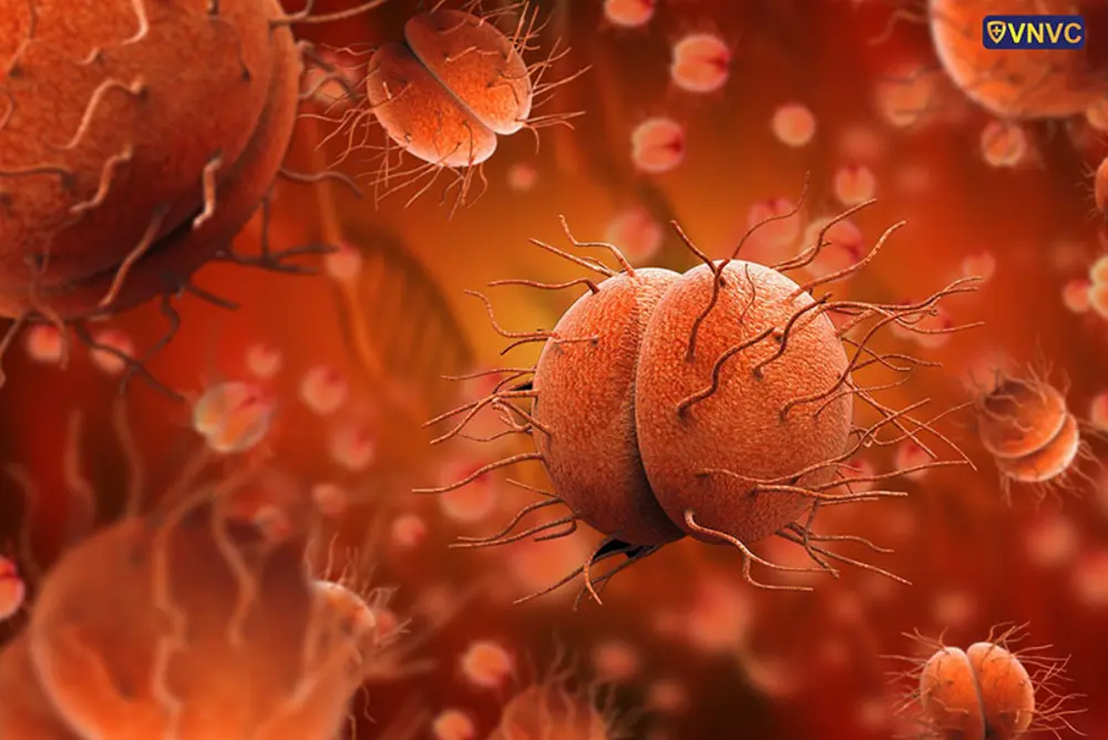 Bệnh lậu do vi khuẩn Neisseria gonorrhoeae gây ra