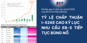 Tỷ lệ chấp thuận I-526E cao kỷ lục