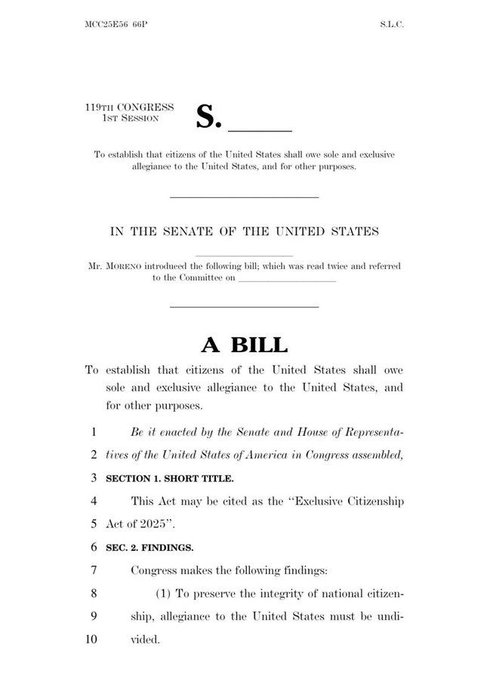 Dự luật mới chấn động: Mỹ đề xuất xóa bỏ song tịch?