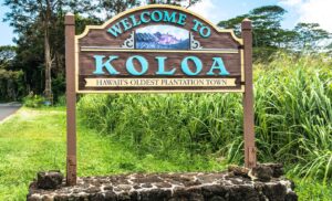 Dự án EB-5 Hawaii Koloa Village 2 vùng nông thôn